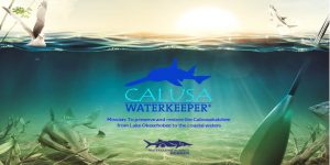 Support a worthy organization: CALUSA WATERKEEPER and their special event: "Saving Estero Bay" in addition to all of the great work they do for our environment!